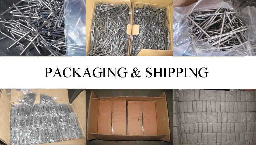 Packaging & Shipping of Steel Nail